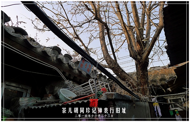 查看更多精彩图片