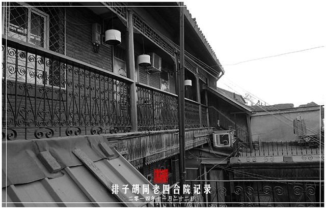 查看更多精彩图片