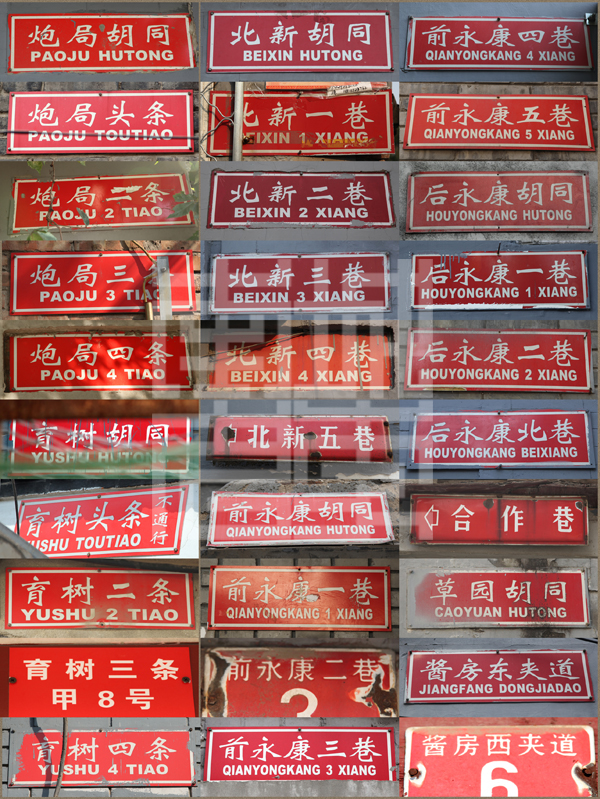 查看更多精彩图片