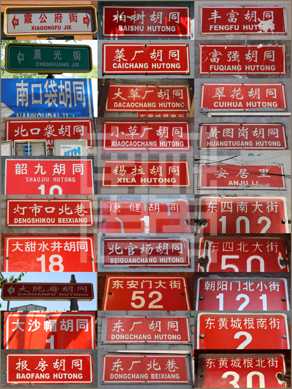 查看更多精彩图片