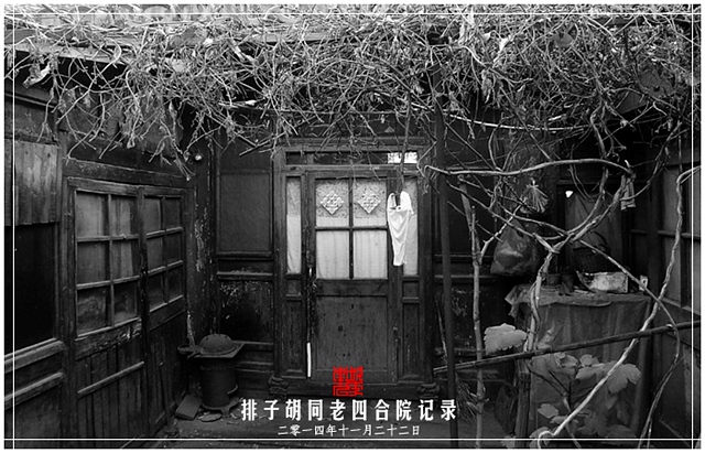 查看更多精彩图片