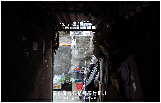 查看更多精彩图片