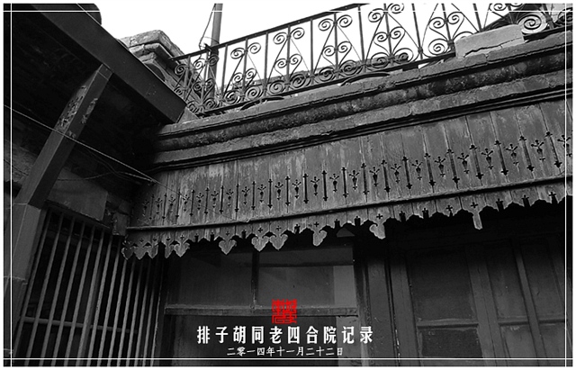 查看更多精彩图片