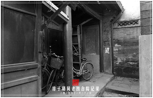 查看更多精彩图片