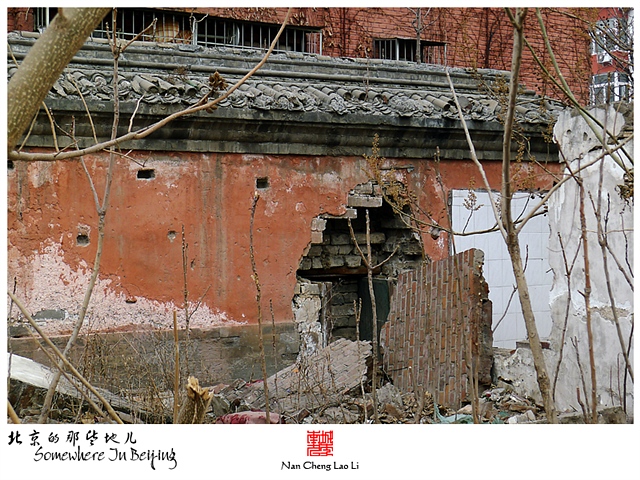 查看更多精彩图片