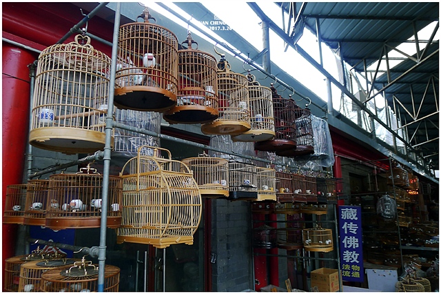 查看更多精彩图片