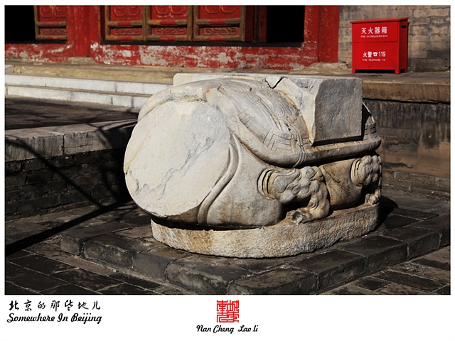 查看更多精彩图片