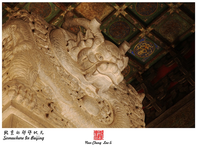 查看更多精彩图片