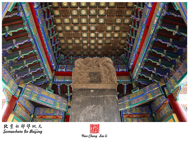 查看更多精彩图片