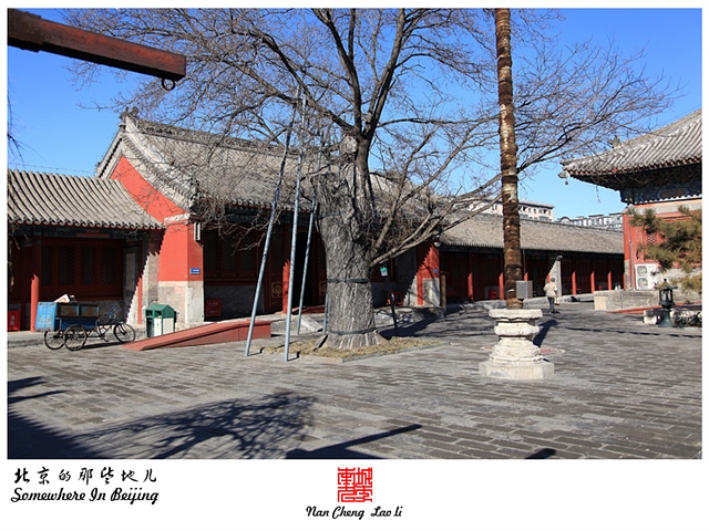 查看更多精彩图片