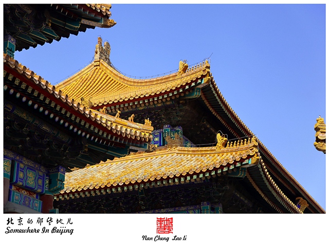 查看更多精彩图片