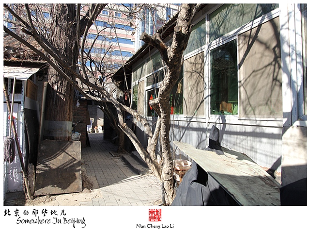 查看更多精彩图片