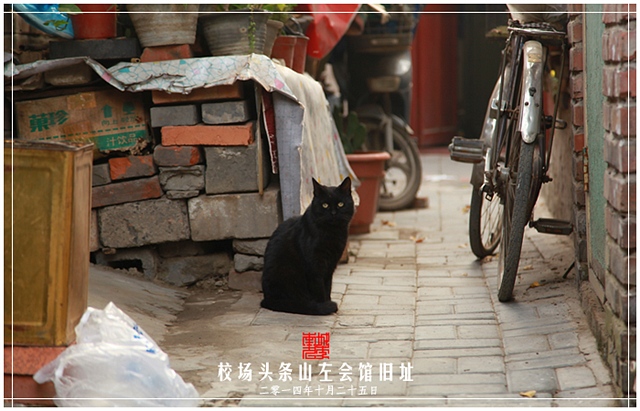 查看更多精彩图片
