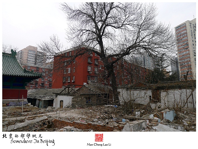 查看更多精彩图片