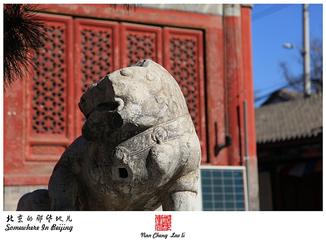 查看更多精彩图片