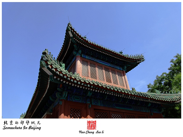 查看更多精彩图片