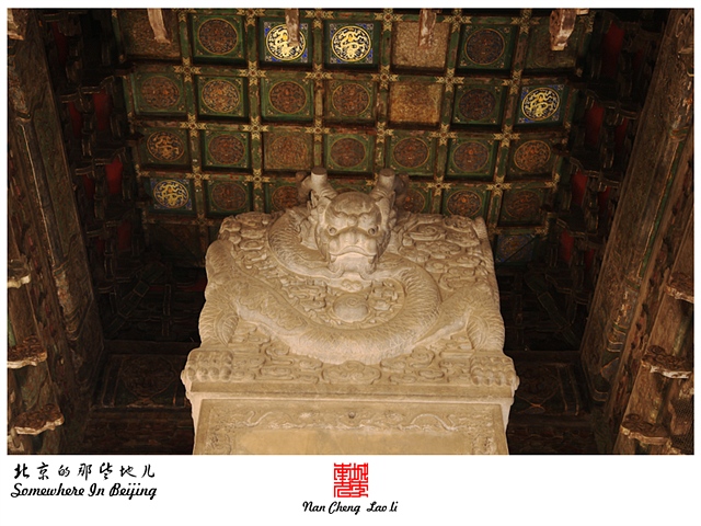 查看更多精彩图片