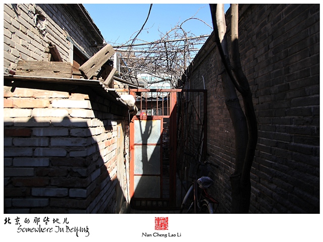 查看更多精彩图片