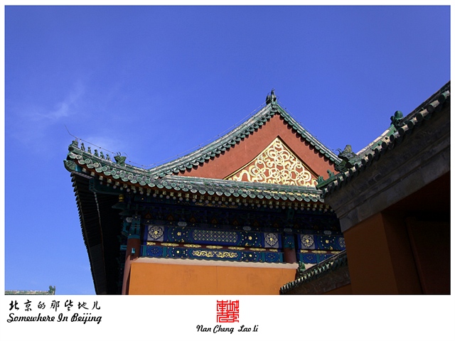 查看更多精彩图片