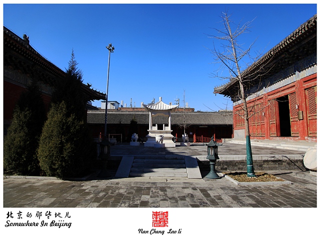 查看更多精彩图片