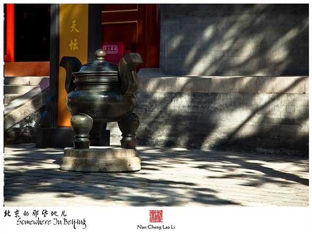 查看更多精彩图片