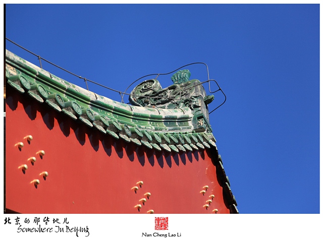 查看更多精彩图片