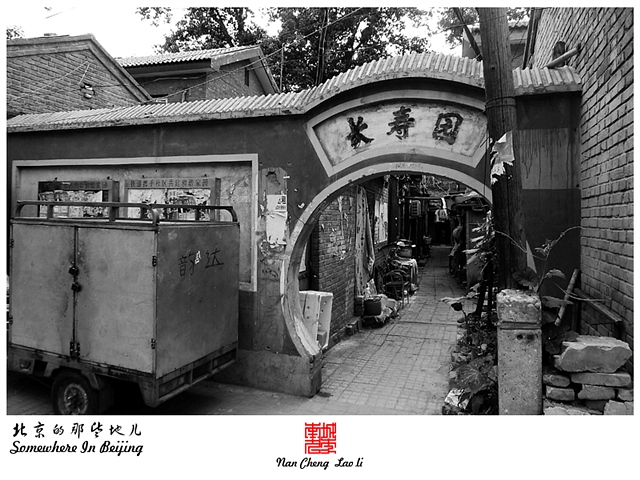 查看更多精彩图片