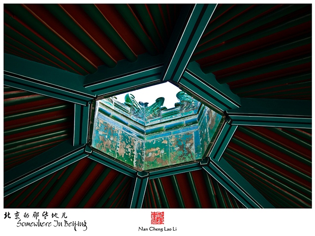 查看更多精彩图片