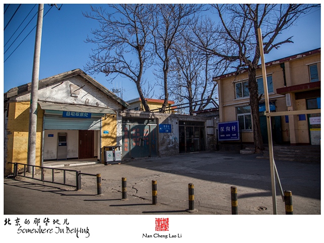 查看更多精彩图片