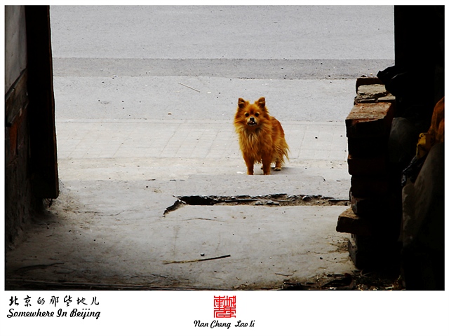 查看更多精彩图片