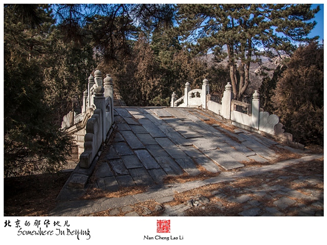 查看更多精彩图片