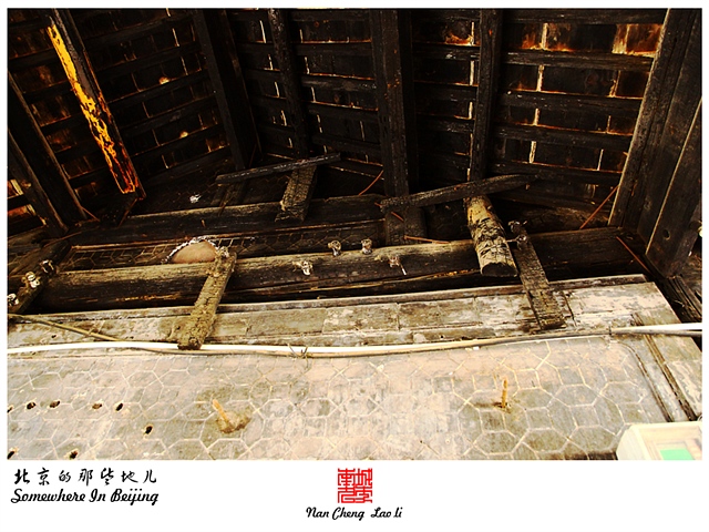 查看更多精彩图片