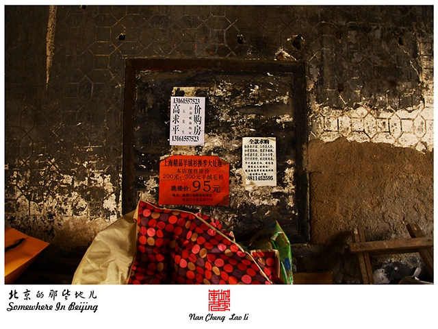 查看更多精彩图片