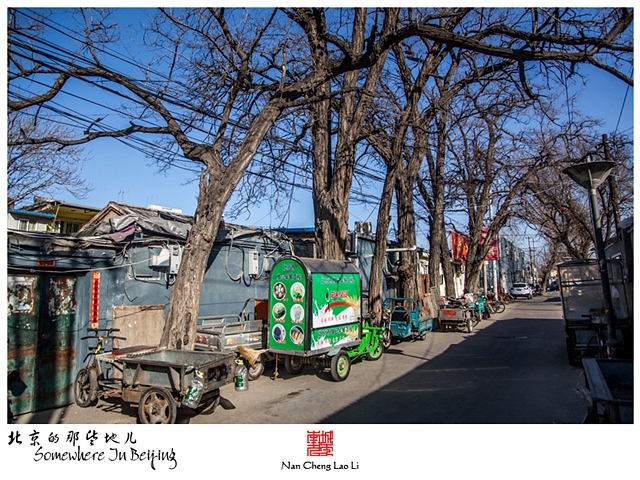 查看更多精彩图片