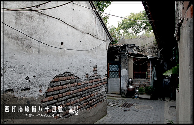 查看更多精彩图片