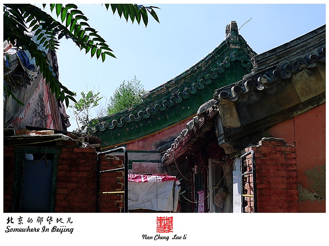 查看更多精彩图片
