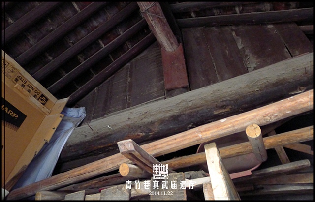 查看更多精彩图片