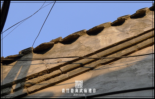 查看更多精彩图片