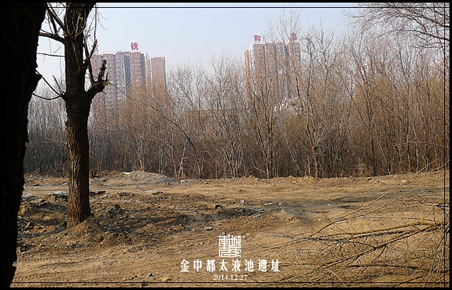 查看更多精彩图片