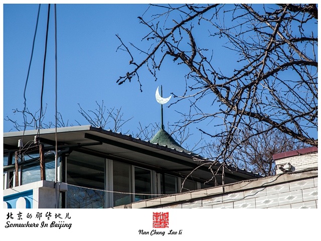 查看更多精彩图片