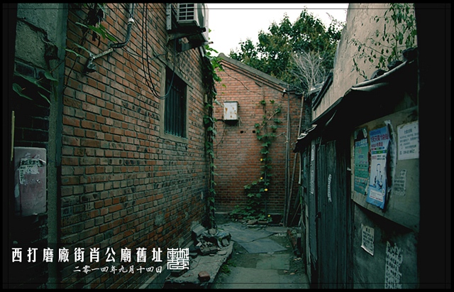 查看更多精彩图片