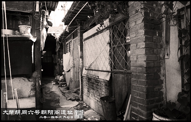 查看更多精彩图片
