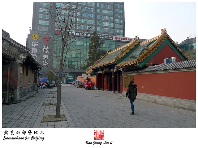 查看更多精彩图片