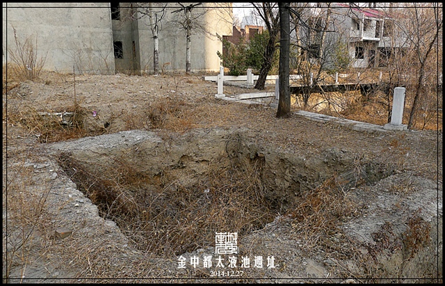 查看更多精彩图片