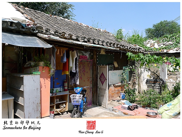 查看更多精彩图片