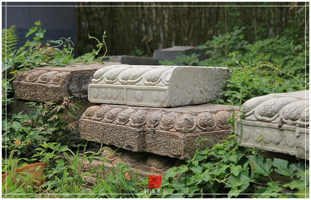 查看更多精彩图片