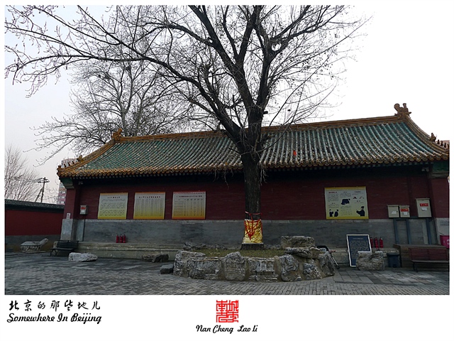 查看更多精彩图片
