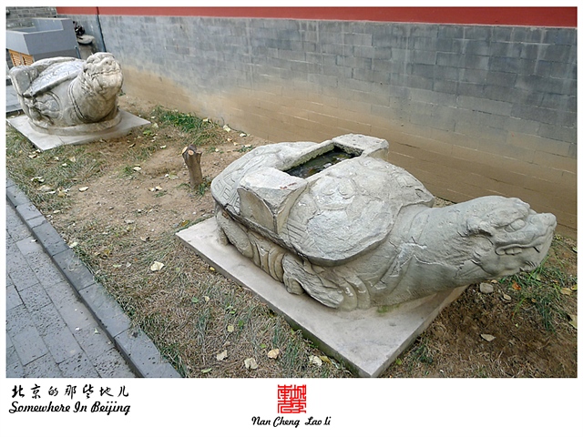 查看更多精彩图片