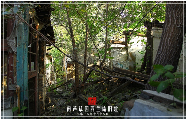 查看更多精彩图片