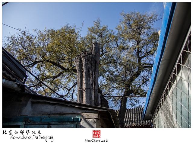查看更多精彩图片